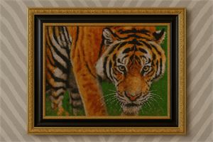 Photograph of product.